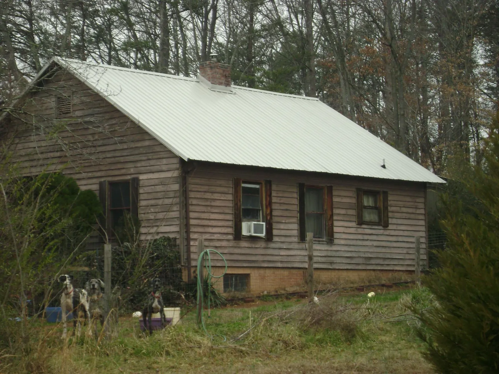 White metal roof on an old wood sided farmhouse, from a Asphalt Shingle Roof Repair job in Henderson